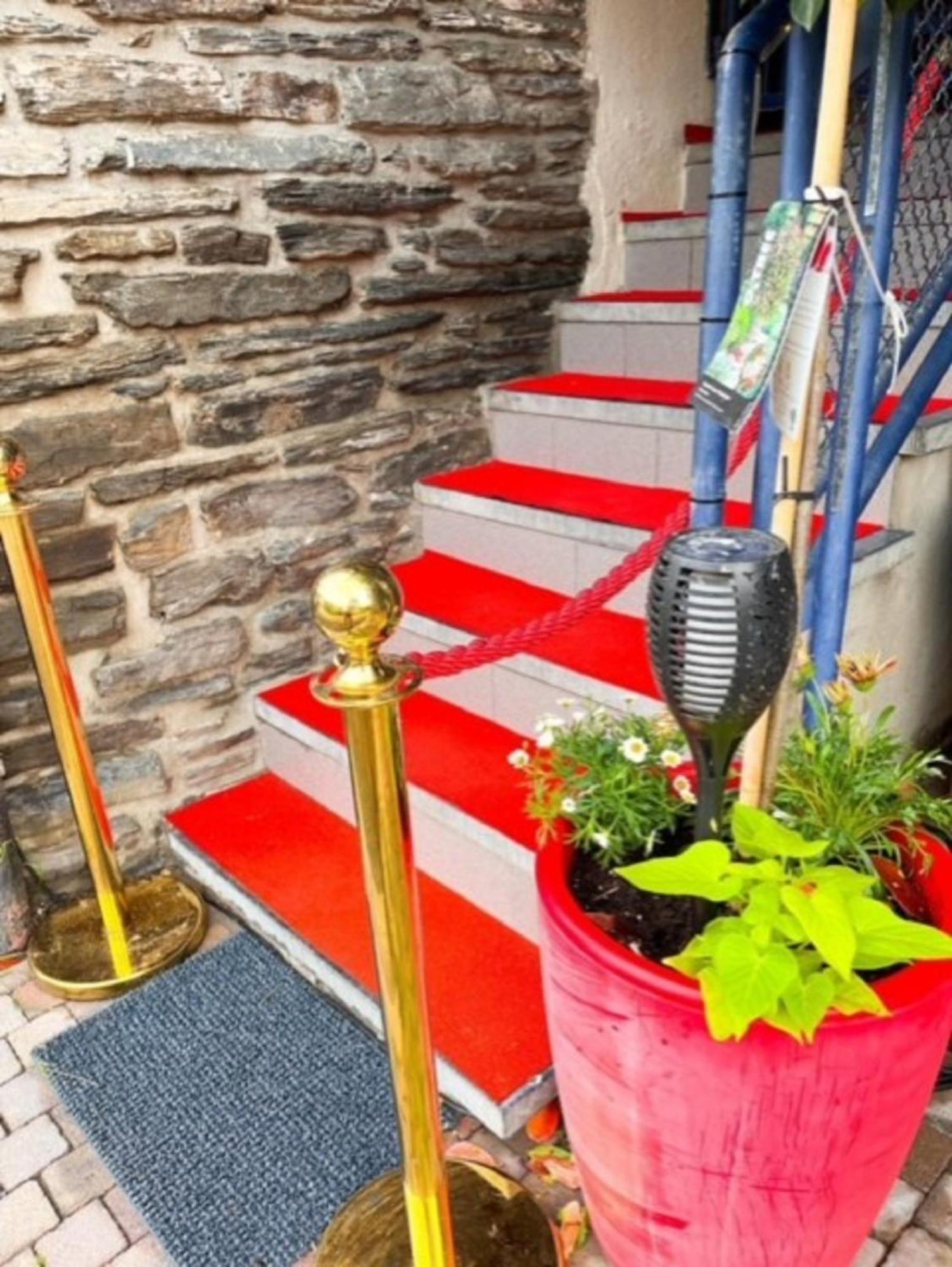 B&B Foret D'Animaux Bouillon Exterior photo